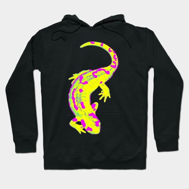 Salamander Lemon Trace Hoodie by CharlieCreator